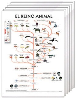 Colección de 14 láminas escolares: Zoología CL ZOOLOGIA