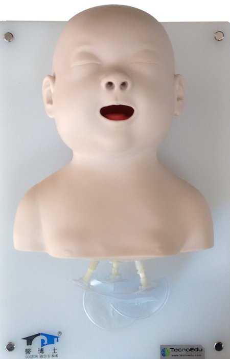 Simulador de lactante para prácticas de intubación endotraqueal DM-FA6247
