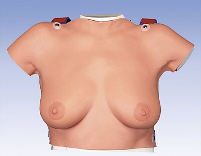Modelo para la palpación de mama para colgar  L51
