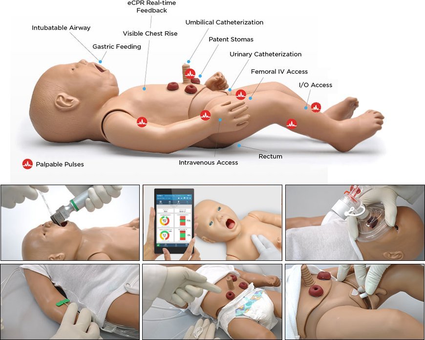 Maniquí p/cuidados neonatales, intubación ET, colocación de sonda NG, infusión EV e IO, canalización umbilical c/ OMNI 2 S107.250