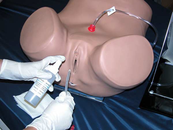 Simulador para practicar cateterismos en  mujeres S230.6