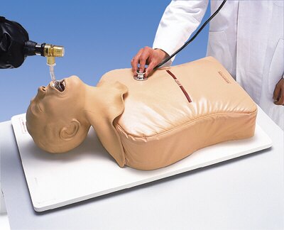 Simulador de intubación endotraqueal W30508