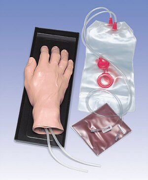 Modelo de mano p/practicar inyecciones intravenosas W44600