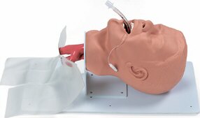 Entrenador de intubación endotraqueal de adultos W44687