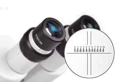 Ocular gran angular c/línea graduada y cruz doble, punto = 0.1mm/10mm 1101001402951