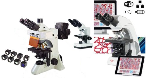 ¿Cómo elegir un microscopio? CEUM
