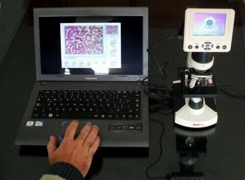 Fotografías tomadas con el microscopio digital escolar D-EL2 D-EL2 Muestrario