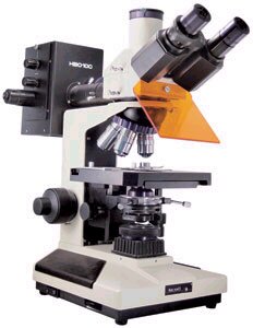 Microscopio Trinocular para Epifluorescencia L 2001 B
