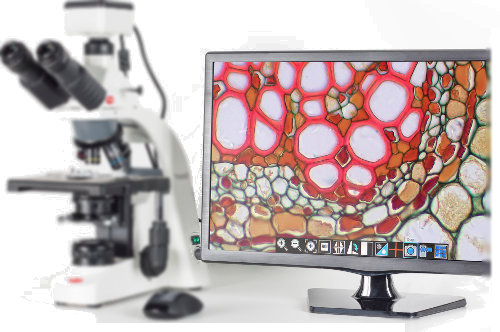 Videomicroscopía - Software de Tratamiento Avanzado de Imágenes v3.0 MI Plus 3.0