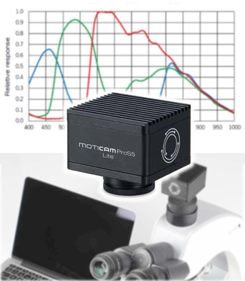 Conjunto p/Videomicroscopía Digital de Alta Resolución 5MP, con sensor de gran tamaño CMOS Scientific Grade MotiCAM PROS5 Lite