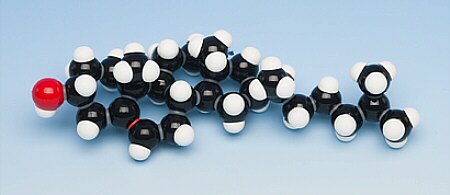 Modelo de una molécula de Colesterol (C27H46O) MKS-119
