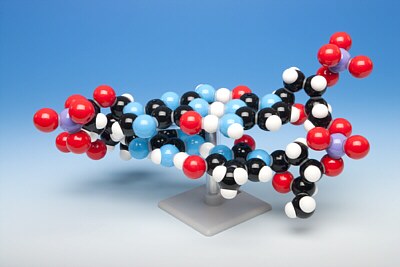 Modelo de ADN (2 capas) MKS-122-2
