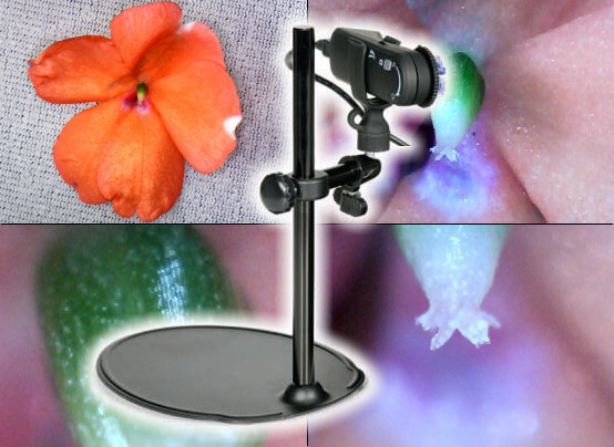 Cámara Lupa / Microscopio digital con salida USB PS-2343