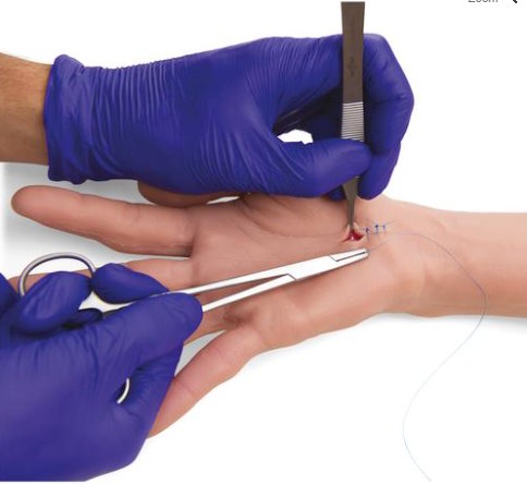 Brazo para prácticas de sutura P101