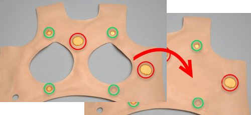 Complemento para S1001: Piel de pecho masculina con 4 conexiones para ECG S1001.018.4