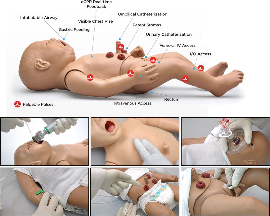 Maniquí p/cuidados neonatales, intubación ET, colocación de sonda NG, infusión EV e intraósea y canalización umbilical S107