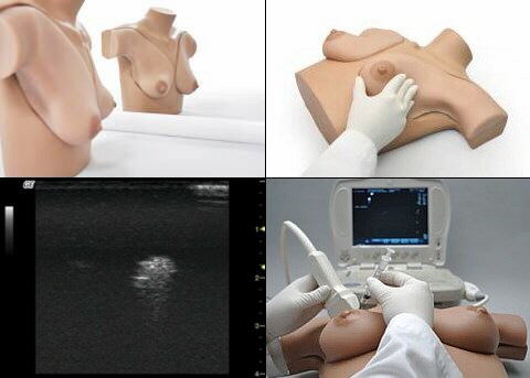 Simulador para exámen mamario, diagnóstico, punción y aspiración de quistes guiado por ultrasonido ecográfico S230.52