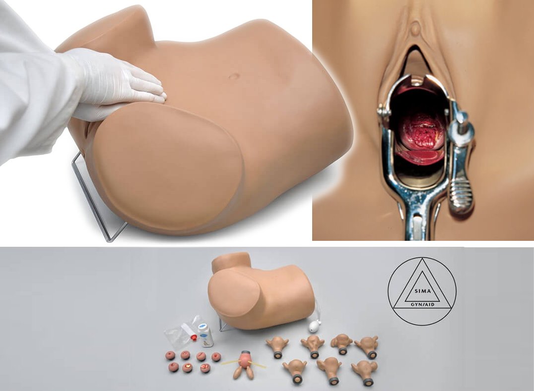 Simulador para exámenes ginecológicos y prácticas simples, c/útero y cuellos intercambiables: normales y con patologías S503
