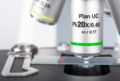 Objetivo Plan Acromático Fase UC PH 20X/0.45 (DT=0.8mm) Ph2 1101001706491