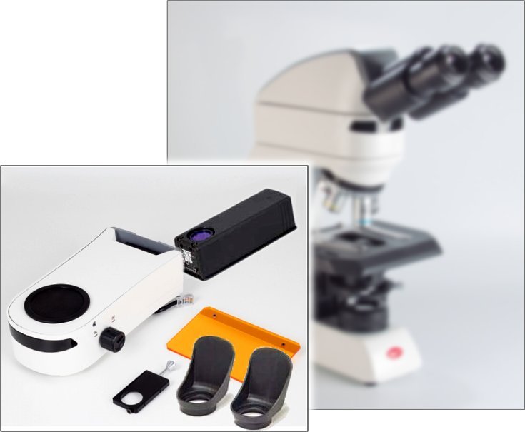 Kit p/Epifluorescencia EPI-LED c/Filtro Auramina O compatible con microscopios Panthera U, L y C 1101011400181