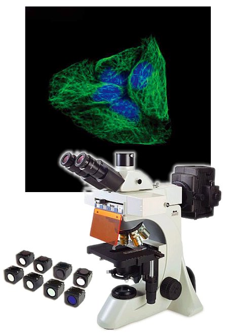 Microscopios para Epifluorescencia