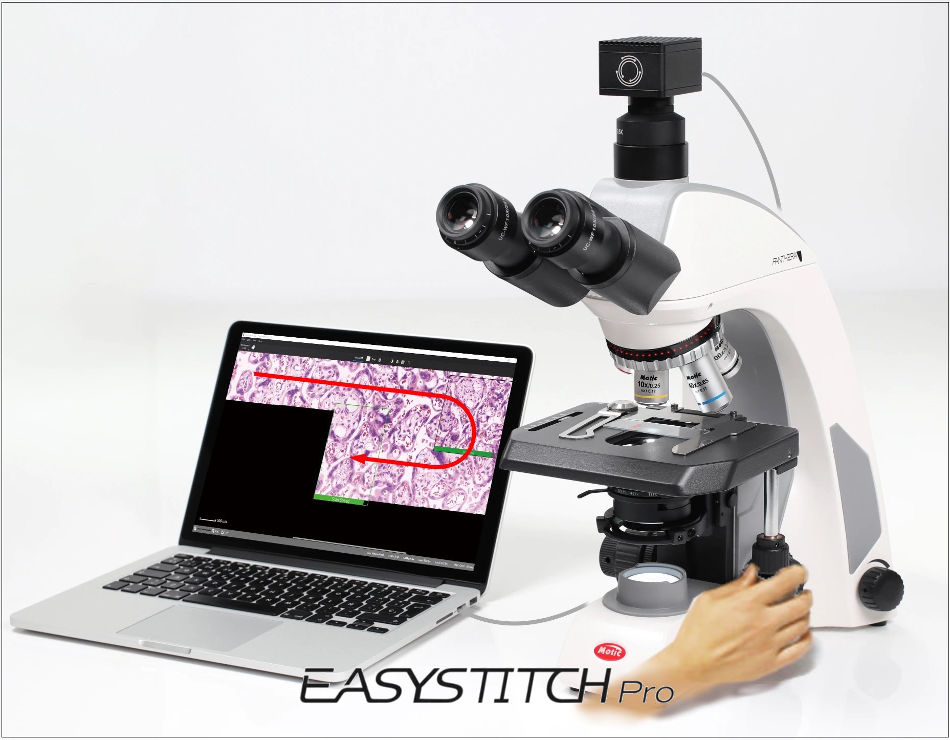 Microscopio ergonómico digital con sistema de adquisición y composición de imágenes digitales de gran tamaño por barrido Panthera C2 EasyStitch